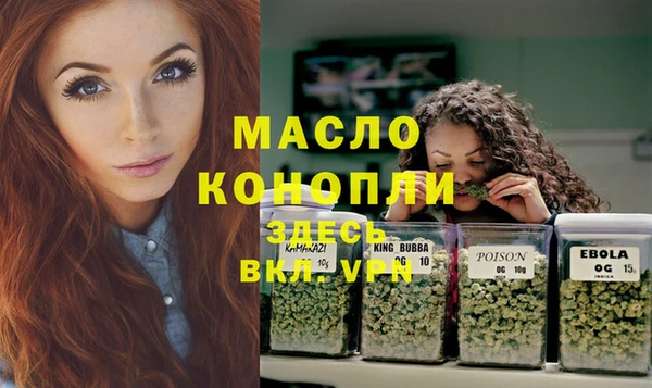 молекула духа Сатка