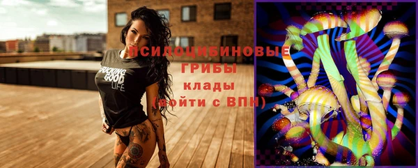 спайс Верея