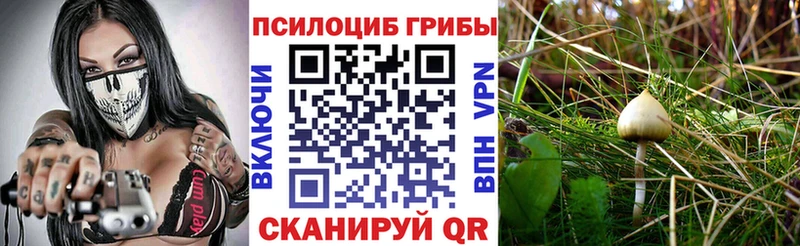Псилоцибиновые грибы Magic Shrooms Демидов